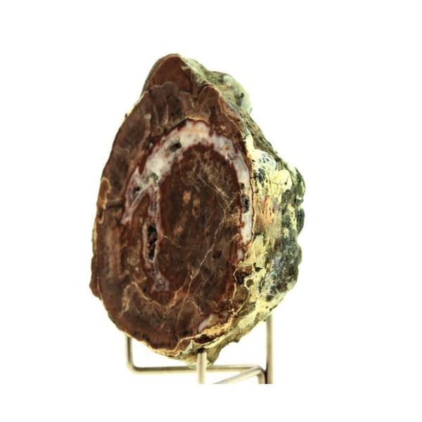 Stenar och mineraler. Litofys. 332,25 cent. Esterel-massivet, Var, Frankrike.