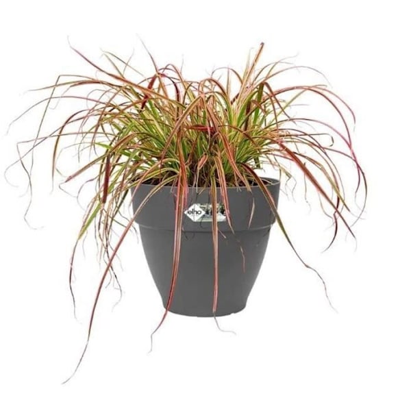 Elho Vibia Campana Rund Blomsterkasse 55 - Sort - Ø 55 x H 47 cm - udendørs - 100% genanvendt Antracit