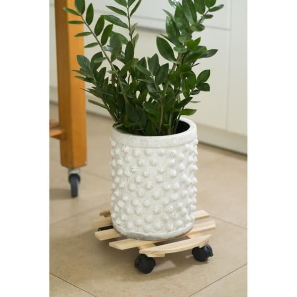 NATURE Rullende tablet til planter - Gran - H7,4 x Ø35 cm Gul
