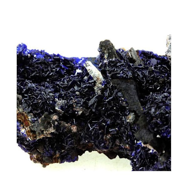 Sten og mineraler. Azurit. 1928,0 ct. Tazalaght, Souss-Massa, Marokko.