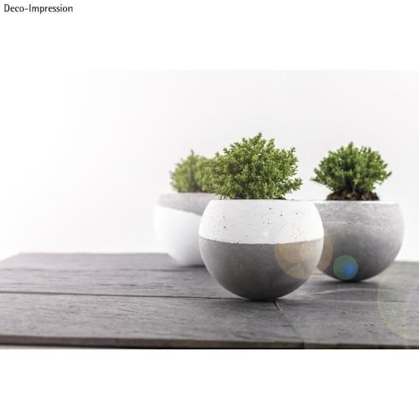 Boule floristique - Ikke specificeret - 12 cm - Transparent - 2 dele - Blandet Transparent