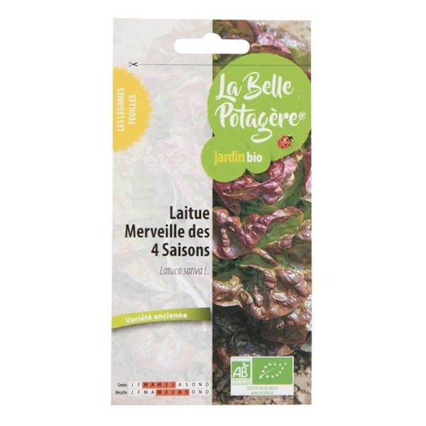 Frön för sådd - Sallad Merveille des 4 saisons - 0,5 g