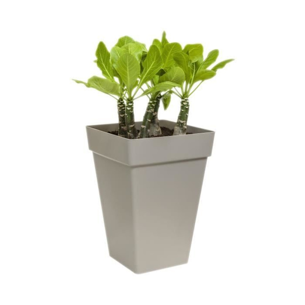 Elho Loft Urban Square Flower Box High 37 - Sort - Ø 37 x H 51 cm - udendørs - 100% genanvendt Antracit