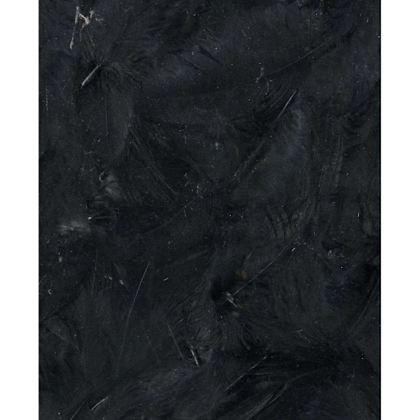 Plumer - Sort - Pakke med 3 g - Uordnede - L…