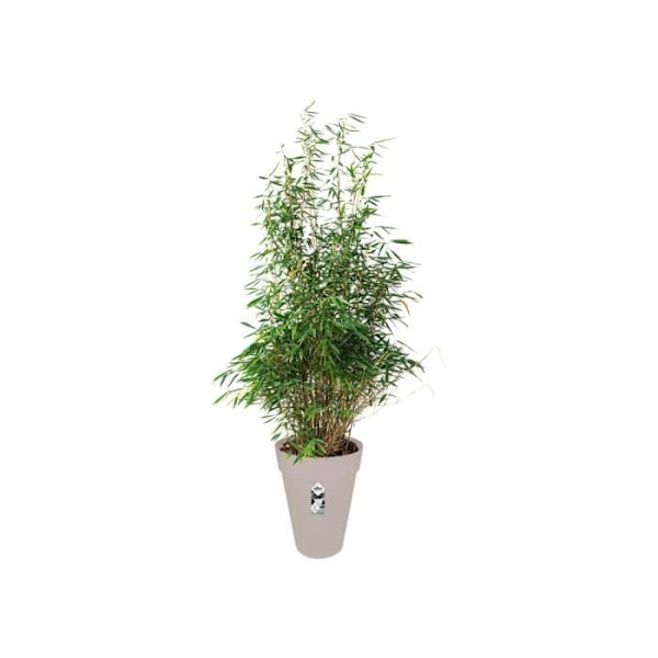 ELHO Loft Urban Tall 42 pyöreä kukkaruukku - Harmaa - Ø 42 x K 56 cm - ulkokäyttöön Varmgrå