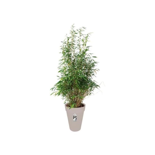 ELHO Loft Urban Tall 42 rund blomkruka - Grå - Ø 42 x H 56 cm - utomhus Varmgrå