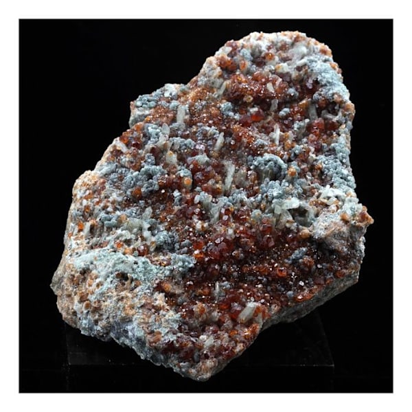 Grenat Hessonite - Sten og Mineraler - 901,0 ct - Ala-dalen - Italien - Autenticitetscertifikat Röd