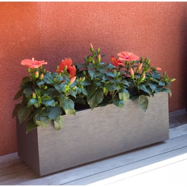 EDA PLASTIQUE Planter Graphit Up - 57 L - 79,5 x 29,5 x 29,5 cm - Antracitgrå Kolgrå