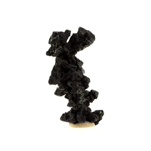 Sten og mineraler. Acanthit. 131,0 øre. Imiter Mine, Drâa-Tafilalet, Marokko.
