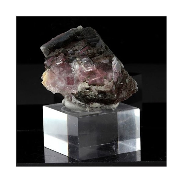 Sten og mineraler. Fluorit. 485,0 øre. Mont-Blanc-massivet (Les Droites), Frankrig.