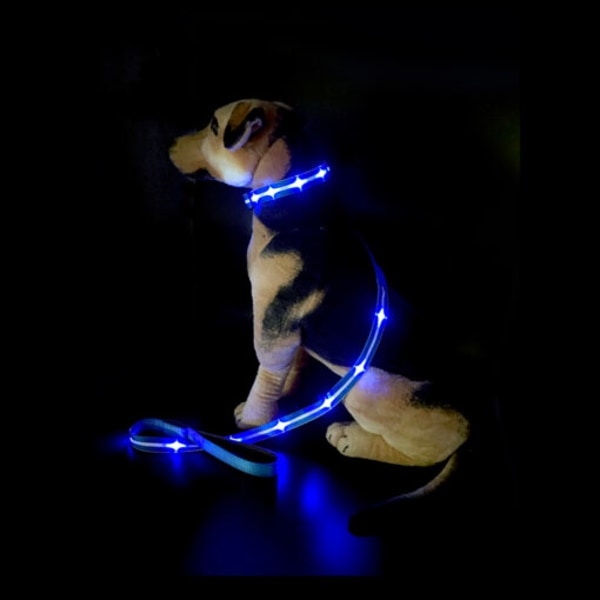 LED Hundhalsband uppladdningsbart vattentätt. Blå Large
