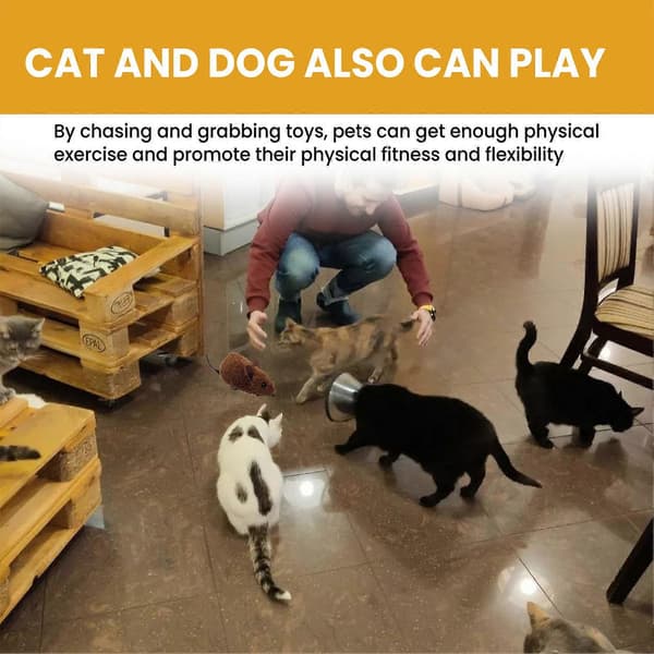 Electronic Fun Cat Toy Automatic Robotic Mouse Toy with Real Mouse Electronic Sound Cat Toys for Cat Training-FO-