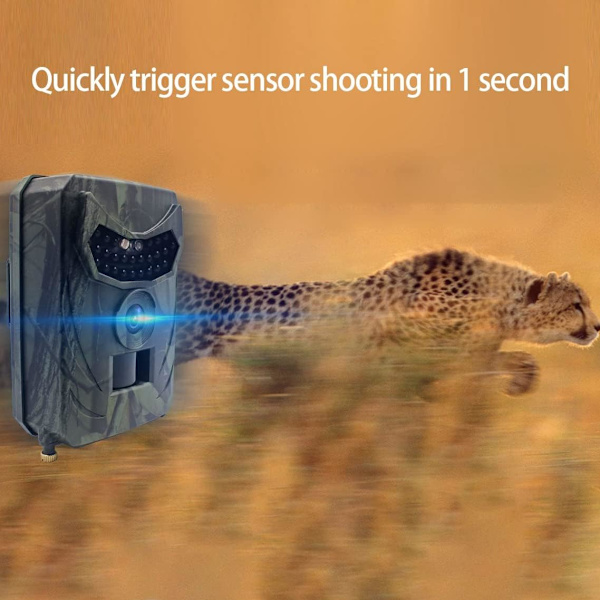 1080P 16MP vildtkamera til dyreliv, jagtkameraer til dyreovervågning og udendørs sikkerhedsovervågning