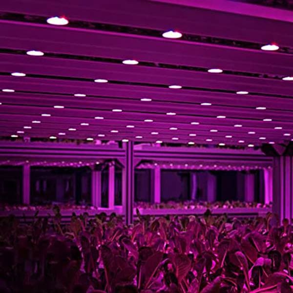 E14 Fuld Spektrum LED Grolys Pærer - 8-pak til Indendørs Planter & Hydroponics-FO-