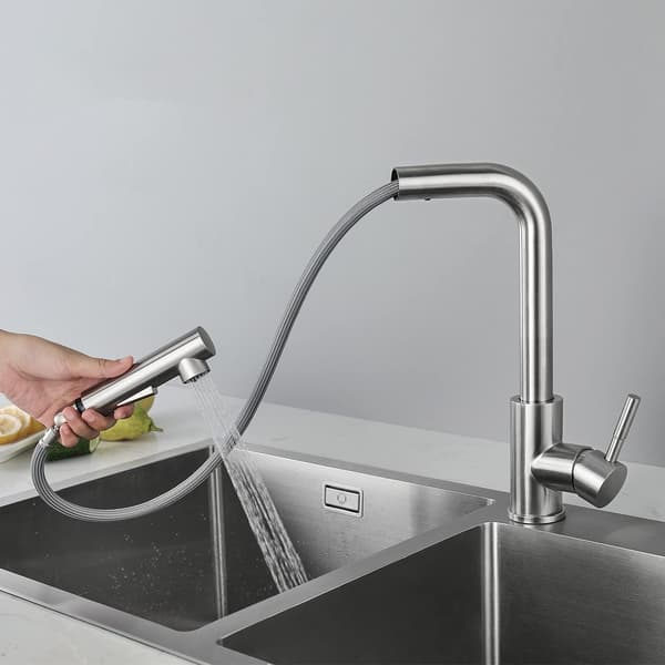 Kitchen Faucet Pull-Out Kitchen Faucet With Shower Two Spray Ty-FO-
