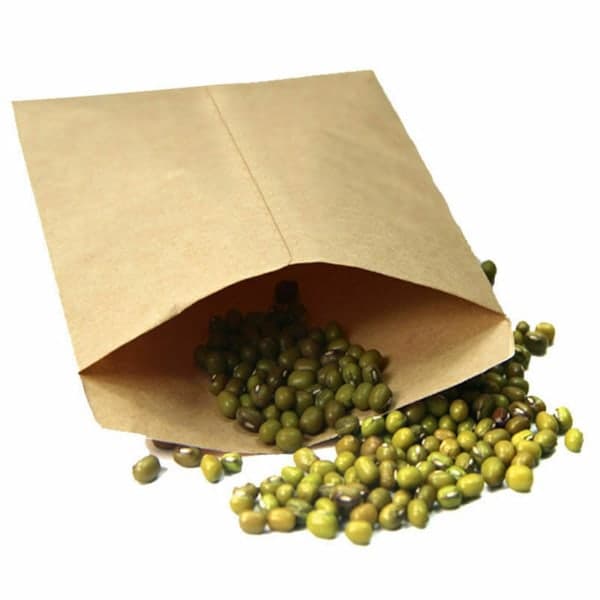 100 stk Vintage Kraftpapir Frøpose-FO-