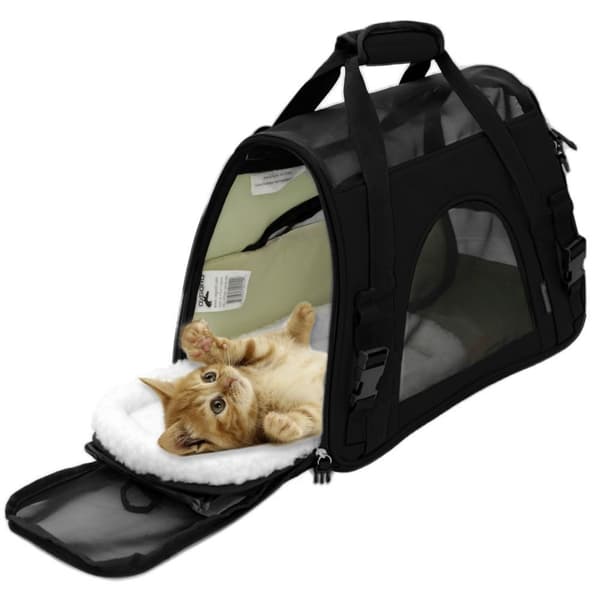 /#/Transporttaske til dyr katte foldbar bæretaske katte transportboks/#/-FO-