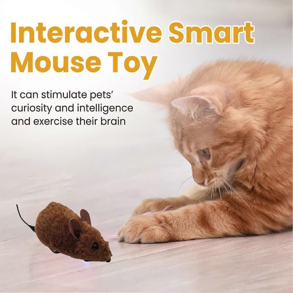 Electronic Fun Cat Toy Automatic Robotic Mouse Toy with Real Mouse Electronic Sound Cat Toys for Cat Training-FO-