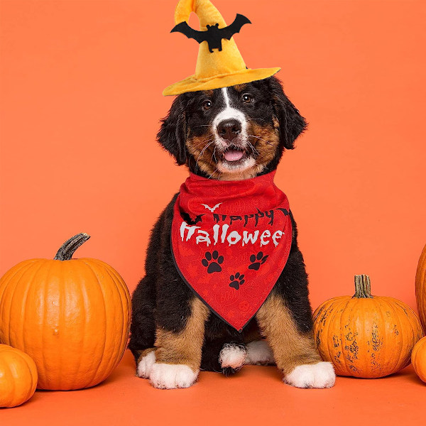 1 Husdyrs Halloween Hat Kreative Husdyrs Spøgelsesagtige Tilbehør Kat Halloween