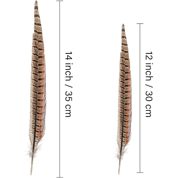 20 stk. naturlige fasanfjer - Fasanhaler 12-14 tommer (30-35 cm) til gør-det-selv dekoration (fasanhaler)