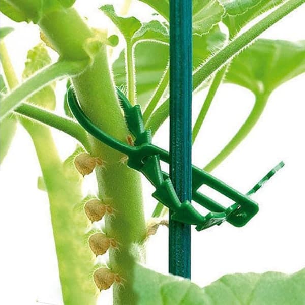 50/100 stk. genanvendelige plaststøtteclips til klatreplanter 100 stk.-FO-