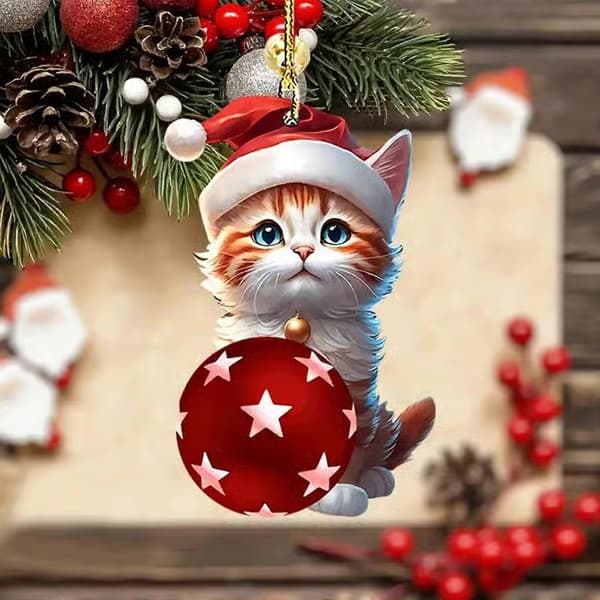 Julekalender 2026 Katt Julekalender 24 dager julekalender