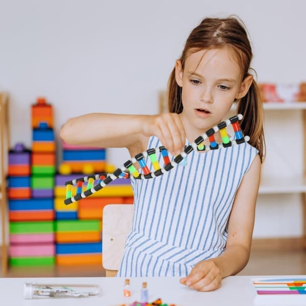 DNA-modelsæt, undervisningshjælpemiddel model DNA dobbelt helix molekylært sæt displaystruktur til skoleelev videnskabsundervisning pædagogisk læring