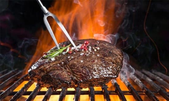 Teleskopiske grillspyd - udtrækkelige grillpinde i rustfrit stål til skumfiduser og brød - bålspyd i rustfrit stål til grill og camping