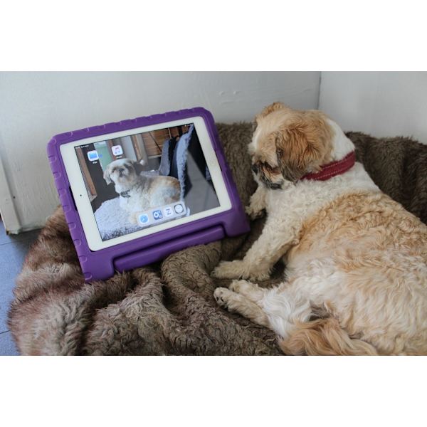 Standcase Barnfodral Apple iPad Air (2019) (3rd Gen.) Ljusblå