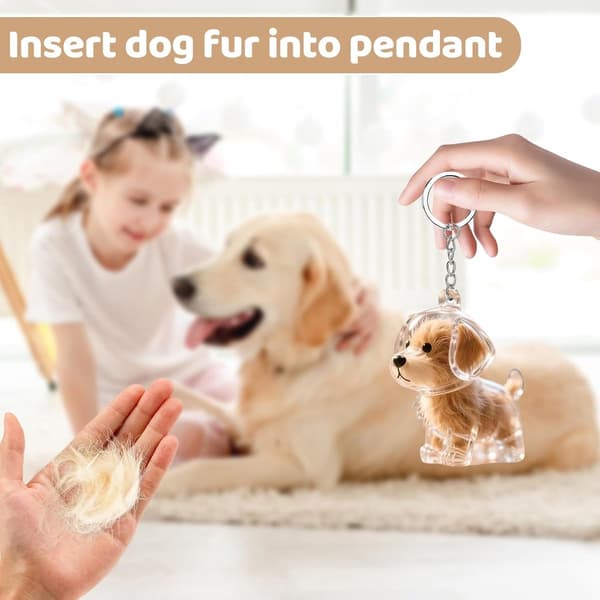 Minnesnyckelring för hund, 4-delat set, förvaringsprydnad för husdjurshår.