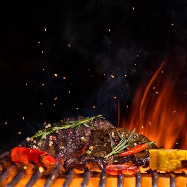 Runt grillgaller i rostfritt stål, 30 cm diameter, för camping/picknick