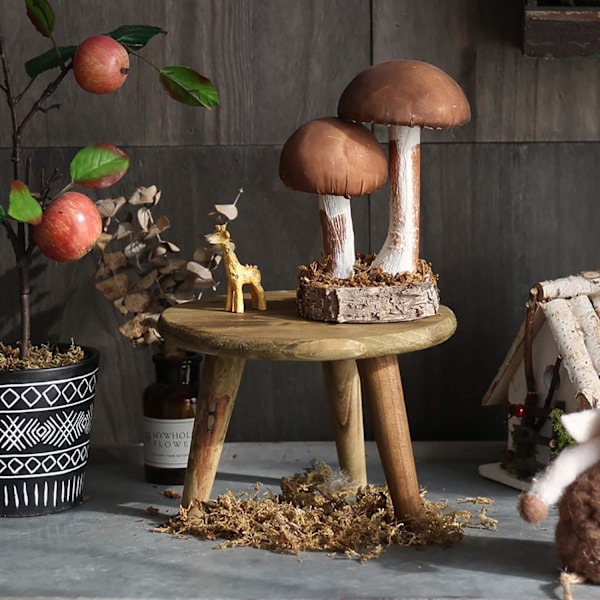 Mini Rund Träpall Kort Träpall för Växter Mini Träpall Display för Hem Uteplats