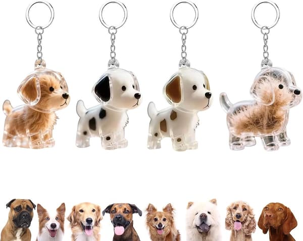 Minnesnyckelring för hund, 4-delat set, förvaringsprydnad för husdjurshår.