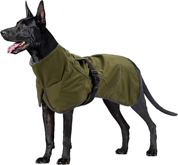 Hundtäcke - Reflexjacka - Varma ytterkläder - Armégrön - Storlek S (10-14 kg)