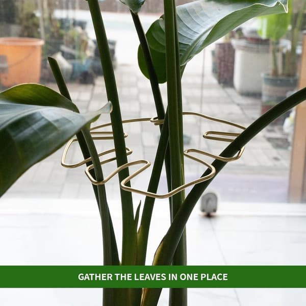 Monstera Växtstöd - Set om 4 (Guld) - Hög Kvalitet - Hållbart - Lätt att Använda - Praktisk Design_yu