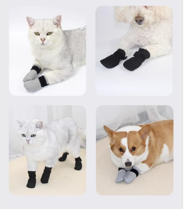 XL Universal Potebeskyttersko til kat og hund - Sort