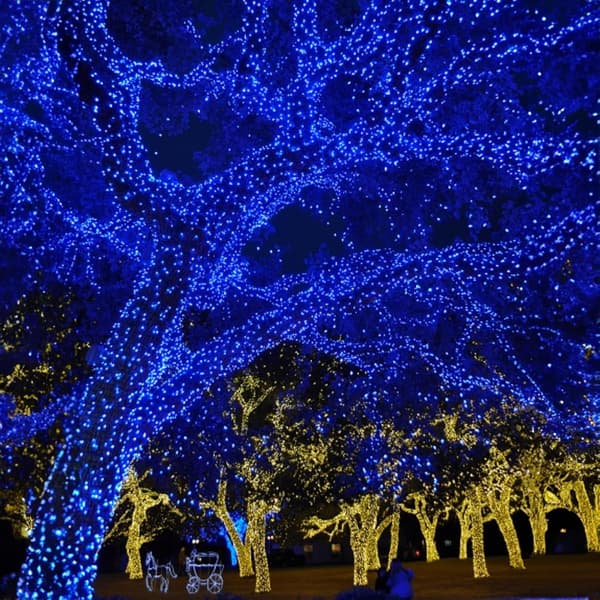 Lysguirlander til udendørs brug, 1000 LED 100 meter, Plug-in-model Blue_MGF Blue 1000 LED