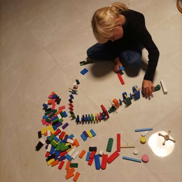 Dominosetti 360 osaa / Dominopalikat - Domino 1600