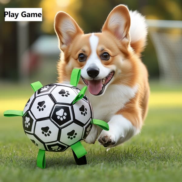 Hundfotboll - med öglor - 19 cm - för små hundar