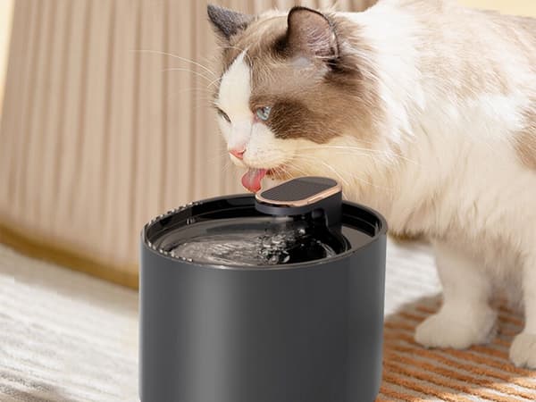 Automatisk kattevandsfontæne til hunde, filter, vandskål_MGF Black