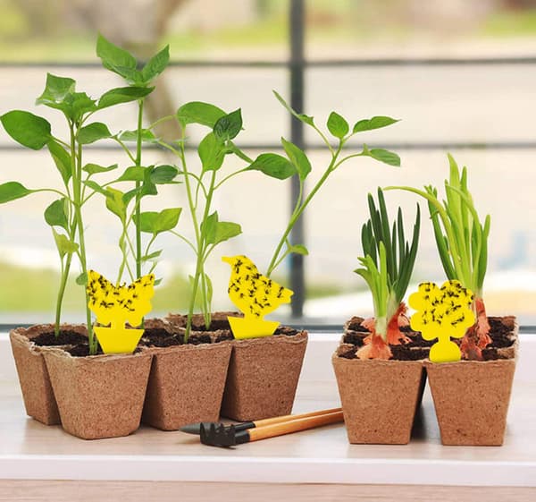 Cute & Effective Fly Catchers / Fly Traps, 48-pack Yellow Yellow