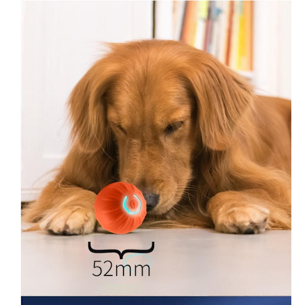 Interactive Motion Cat Toy - Keeps Your Cat Entertained Orange Orange