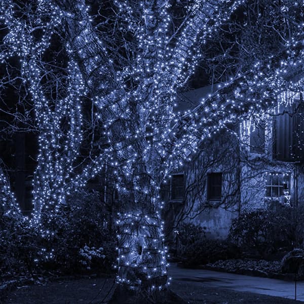 1000 LED julelys, 100 meter juletræslys udendørs Plug in_MGF White