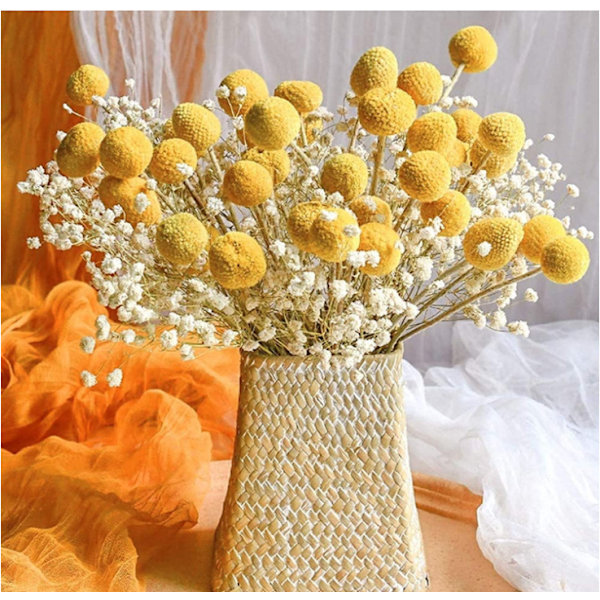 20 stk. naturlige tørrede blomster Billy Balls blomster Billy Buttons blomsterbuket til blomsterarrangementer bryllup hjem høj vasedekoration gul