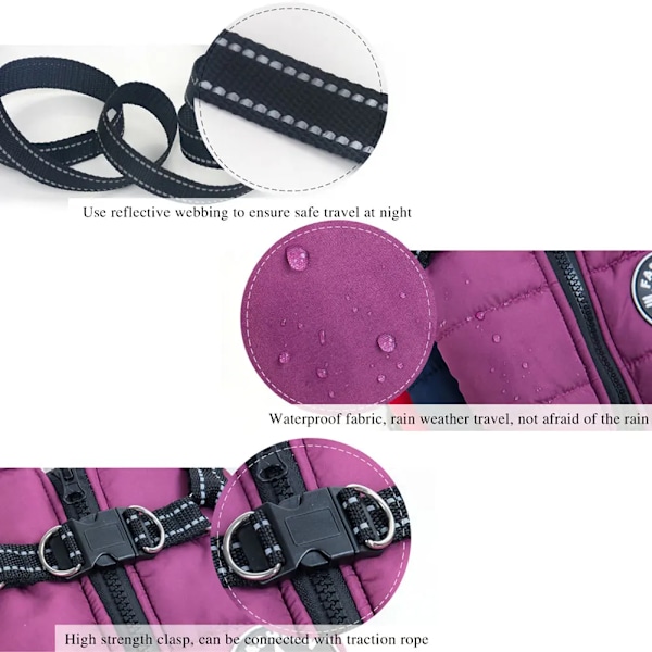 Talvikoiran takki valjailla - Vedenpitävät koiranvaatteet, violetti purple S