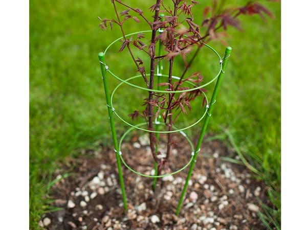 Plantestøtte / Espalier - 60 cm_MGF
