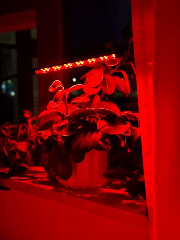 LED-vækstlampe 20 dioder TIMER 9 W til hjemmedyrkning uden strømadapter_MGF