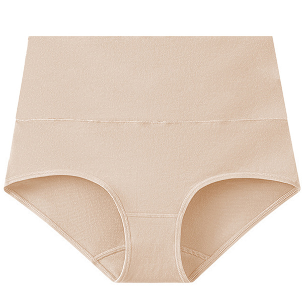 High-Waisted Briefs (5-pack) Beige XL Beige XL