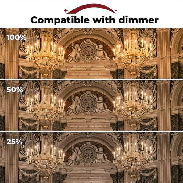 42W E14 C35 Dimbar Halogenlampa AC 220-240V Varmvit 2700K E14 Transparent Halogen Lampa (10-pack)_MGF