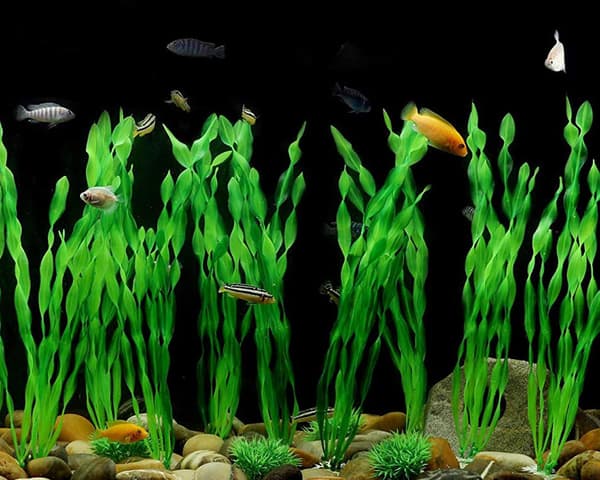 10 stycken akvarieväxter - konstgjord tång - 30 cm - grön